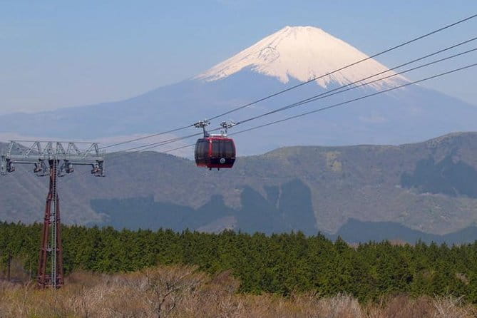 Exciting Hakone - One Day Tour From Tokyo - Highlights of Hakone