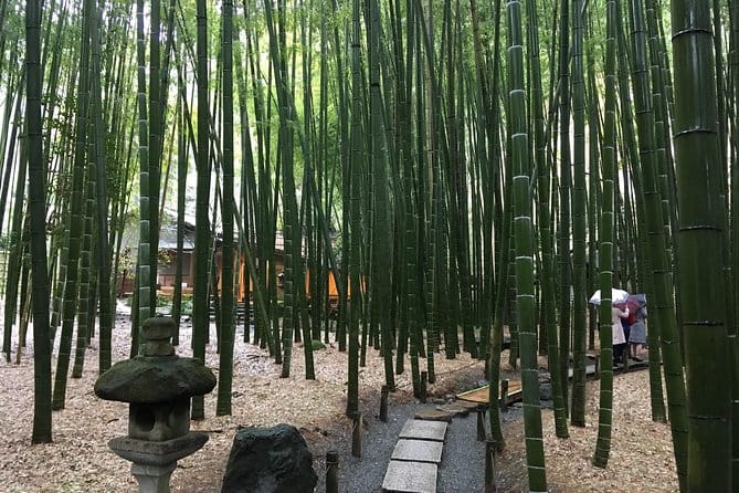 Exciting Kamakura - One Day Tour From Tokyo - Indulging in Unique Cultural Activities