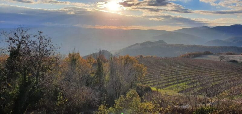 Exclusive Assisi and Sagrantino di Montefalco Wines - The Practicalities and Logistics That Matter