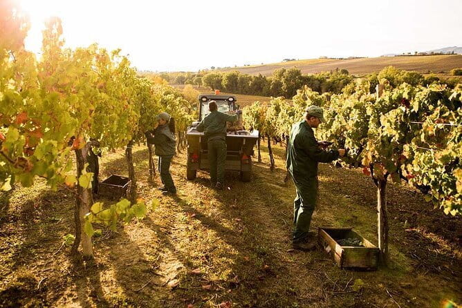 Exclusive Assisi & Sagrantino di Montefalco Wines from Florence - Key points / takeaways