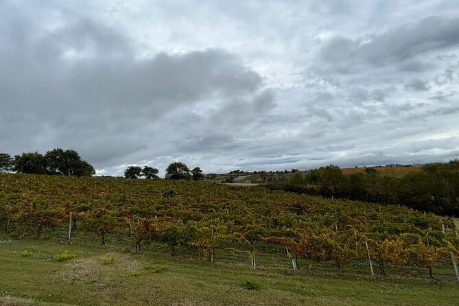 Exclusive Assisi & Sagrantino di Montefalco Wines from Florence - Lunch and final thoughts