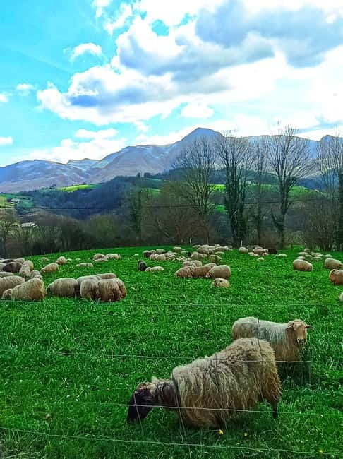 Exclusive Basque countryside - Entering the Heart of Basque Countryside