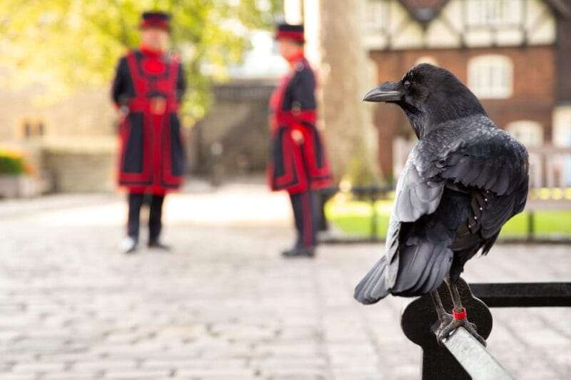 Exclusive Beefeater Meet & Greet at the Tower of London - Final Thoughts on Value and Experience