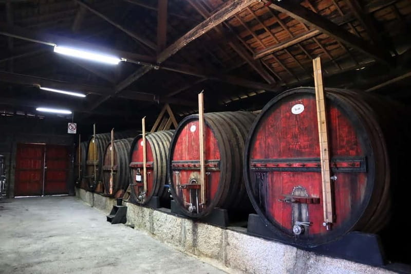 Exclusive Douro Valley: 3 Wineries, 9 Wine Tastings & Lunch - Key points / Takeaways