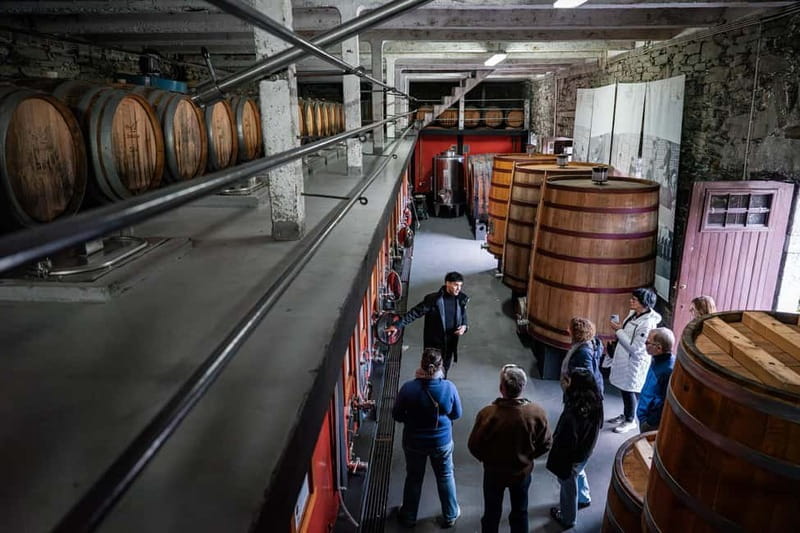 Exclusive Douro Valley: 3 Wineries, 9 Wine Tastings & Lunch - Who is This Tour Best For?