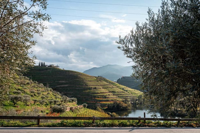 Exclusive Douro Valley: 3 Wineries, 9 Wine Tastings & Lunch - FAQs