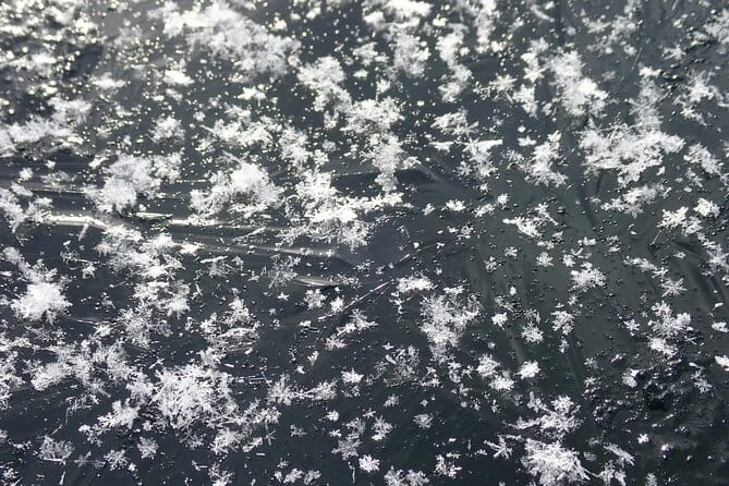 Exclusive Evening Trekking Tour to the Frozen Nanajyo Waterfall - Health and Safety Guidelines