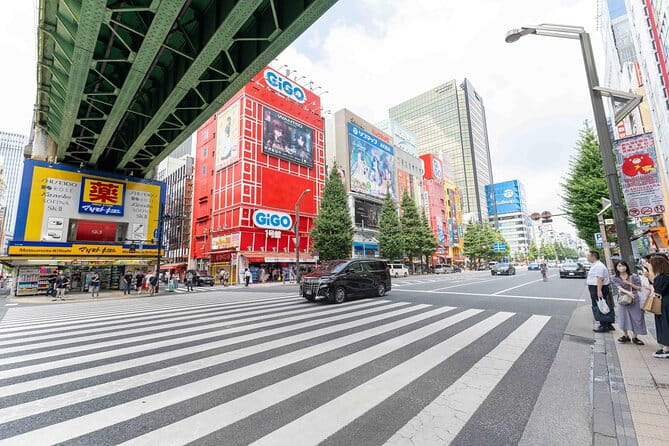 Exclusive Experience: Tailored Anime & Culture Tour in Akihabara - Booking Your Adventure: Pricing and Cancellation Policy