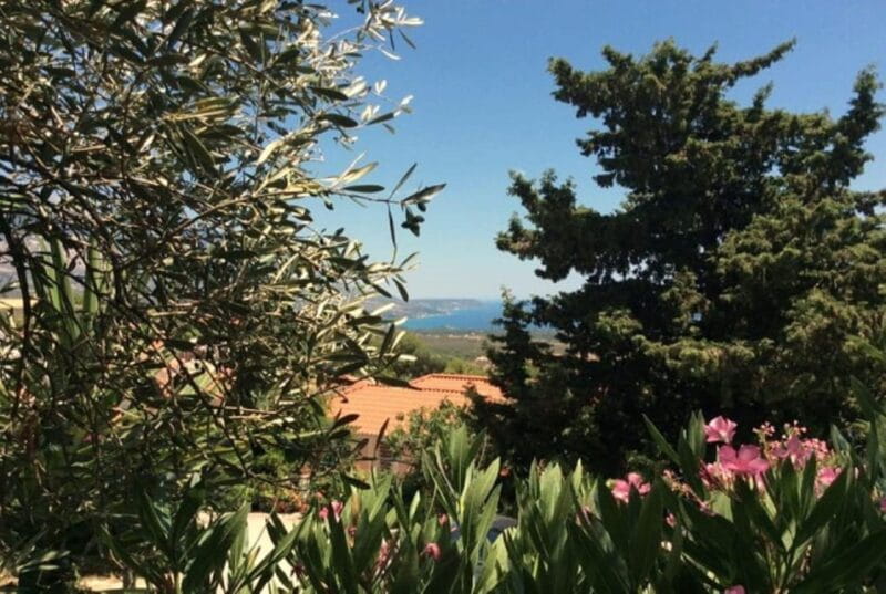 Exclusive Kefalonia Gems - Culture, Nature & Flavors - Savoring Local Flavors at Gentilini Winery