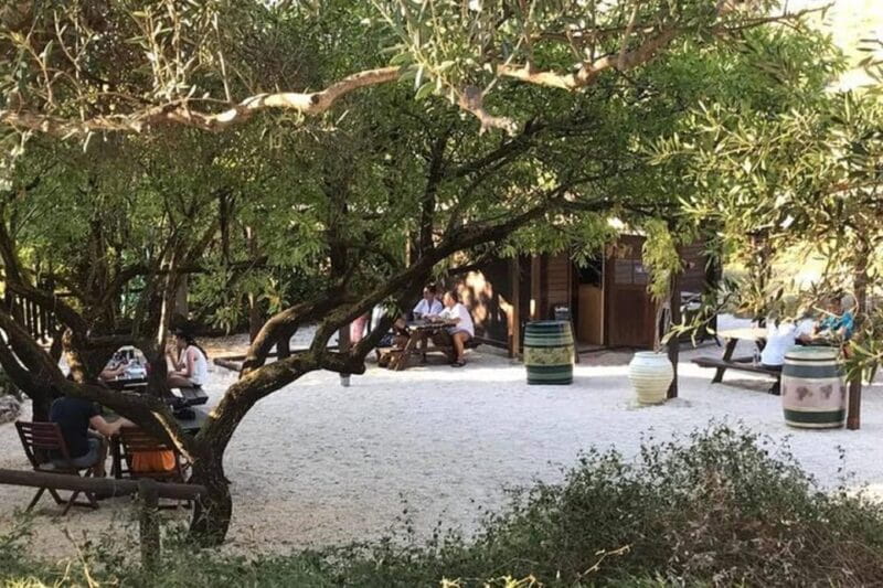 Exclusive Kefalonia Gems - Culture, Nature & Flavors - Who Should Opt for This Experience?