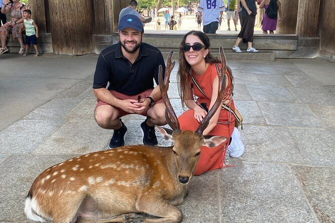 Exclusive Luxury Day Tours Serene Nara - Pricing and Group Size Options