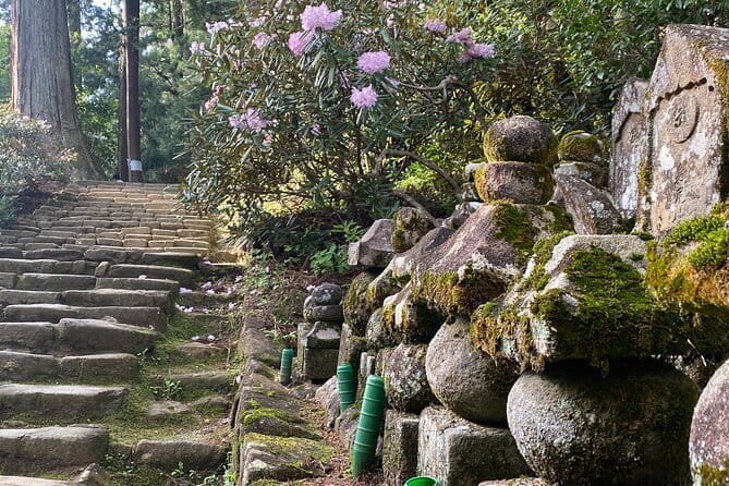 Exclusive Luxury Day Tours Serene Nara - Inclusions of the Tour Package