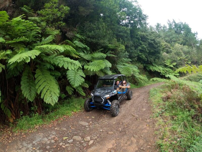 Exclusive Private Buggy Adventure: Forest and Mountains - Who Will Love This Tour