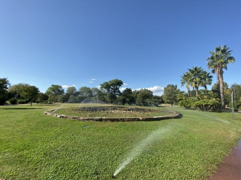 Exclusive Private Tuk-Tuk Tour with Pittulongu Beach Stop - Price and Logistics: What to Expect