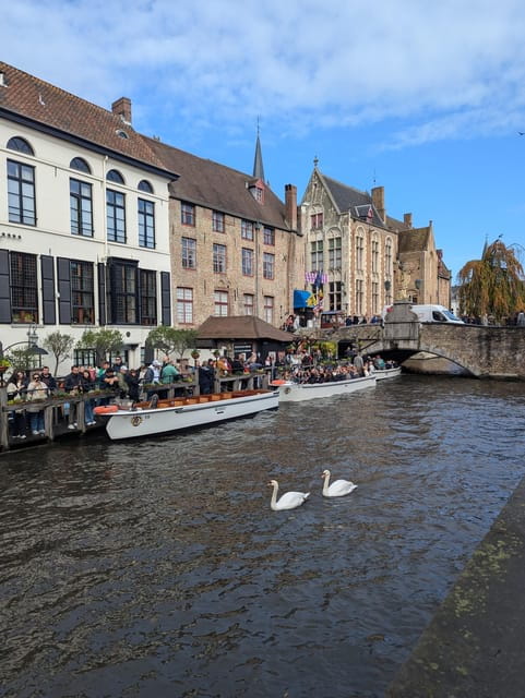Exclusive PRIVATE Walking Tour of Bruges - Key points / Takeaways