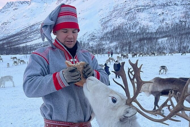 Exclusive Reindeers Experience in small groups, Tromso - How This Experience Stands Out