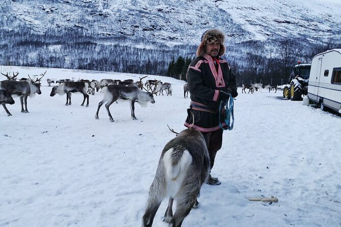 Exclusive Reindeers Experience in small groups, Tromso - Final Thoughts: Is This the Right Tour for You?