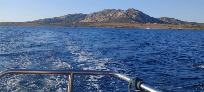 Exclusive sunset boat trip in the Asinara National Park - Key points / Takeaways