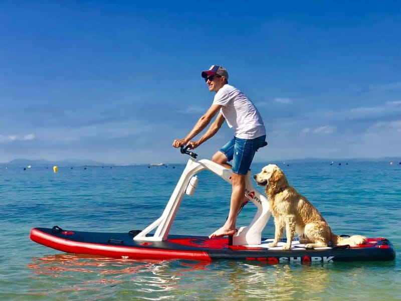 Exclusive sup bike excursion in Mallorca - Key points / Takeaways