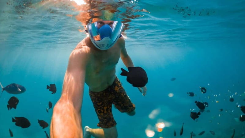 Exclusive tour of Ischia: sail among secret bays, thermal springs, and nature - Key points / Takeaways: