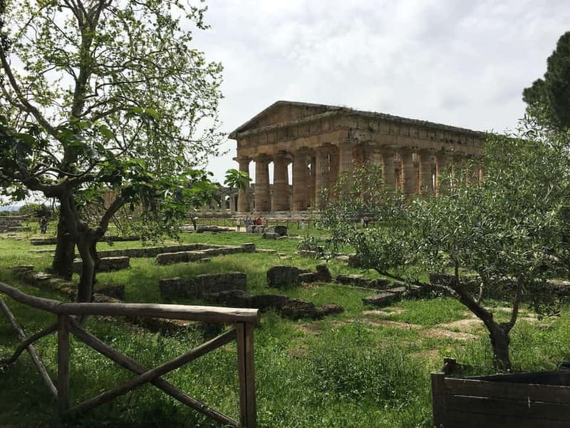 Exclusive Tour: Paestum Excavations and Cheese Factory Visit with Tasting and Lunch - Key points / Takeaways