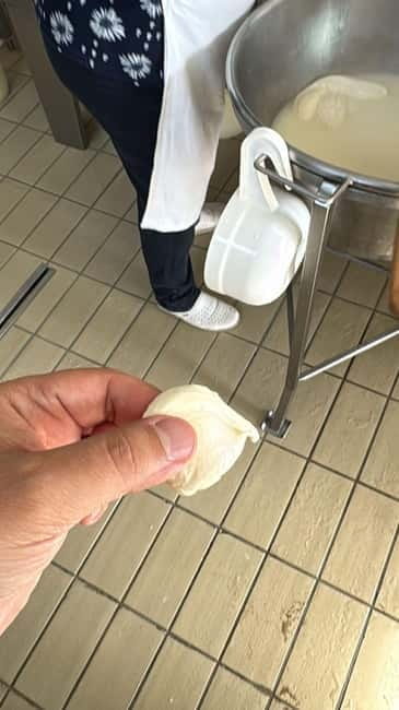 Exclusive Tour: Paestum Excavations and Cheese Factory Visit with Tasting and Lunch - From Ruins to Dairy: A 20-Minute Drive to Mozzarella Magic