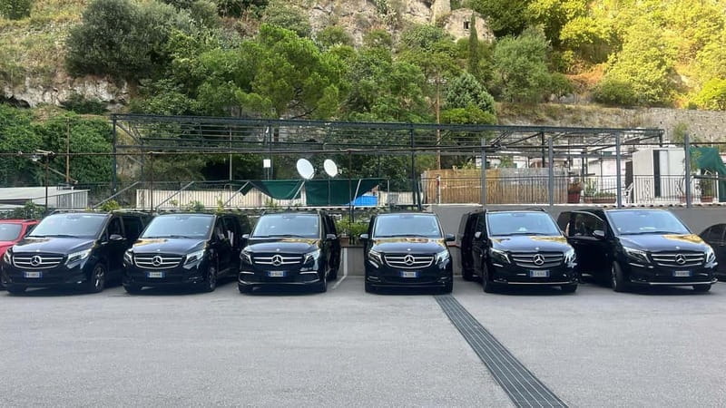 Exclusive Tour: Paestum Excavations and Cheese Factory Visit with Tasting and Lunch - The Culinary Highlight: Tasting and Lunch at the Dairy