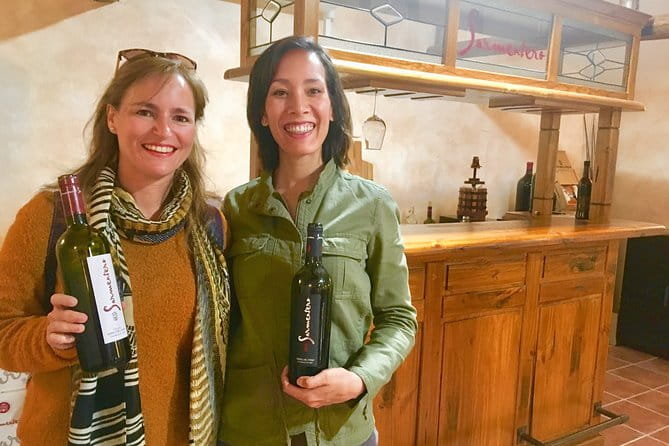 Exclusive tour: Ribera del Duero "like a native", with lamb in a wood oven - Transportation and Group Size: Comfort Counts