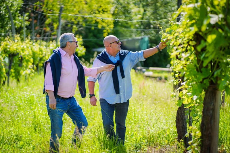 Exclusive Tour through the Riva Gemin - Price and Value