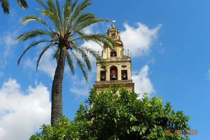 Exclusive visit to the Mosque with official guide. Small groups - Key Points
