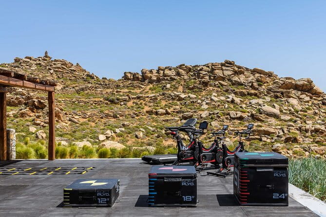 Exclusive Wellness Day Experience in Mykonos - Who Would Benefit Most?