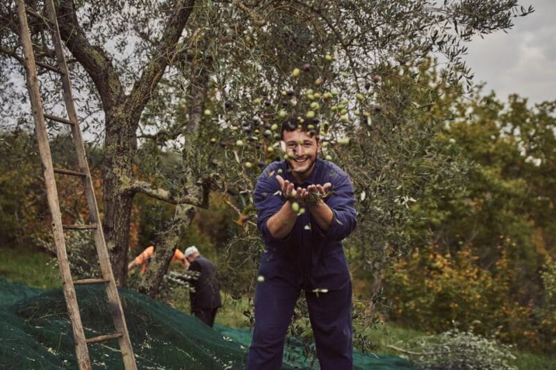 Exclusive Wine Lesson and Tasting near Montepulciano - Price and Logistics