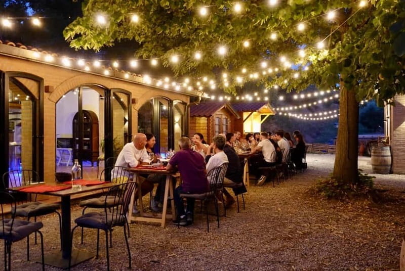 Exclusive Wine Lesson and Tasting near Montepulciano - Final Thoughts: Who Should Book This?