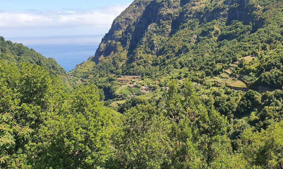 Exclusive Wine Tasting Tour in the Wine Region of Boaventura - Key Points