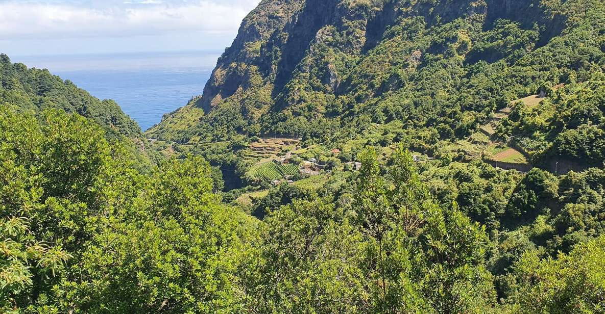 Exclusive Wine Tasting Tour in the Wine Region of Boaventura - Highlights of the Tour