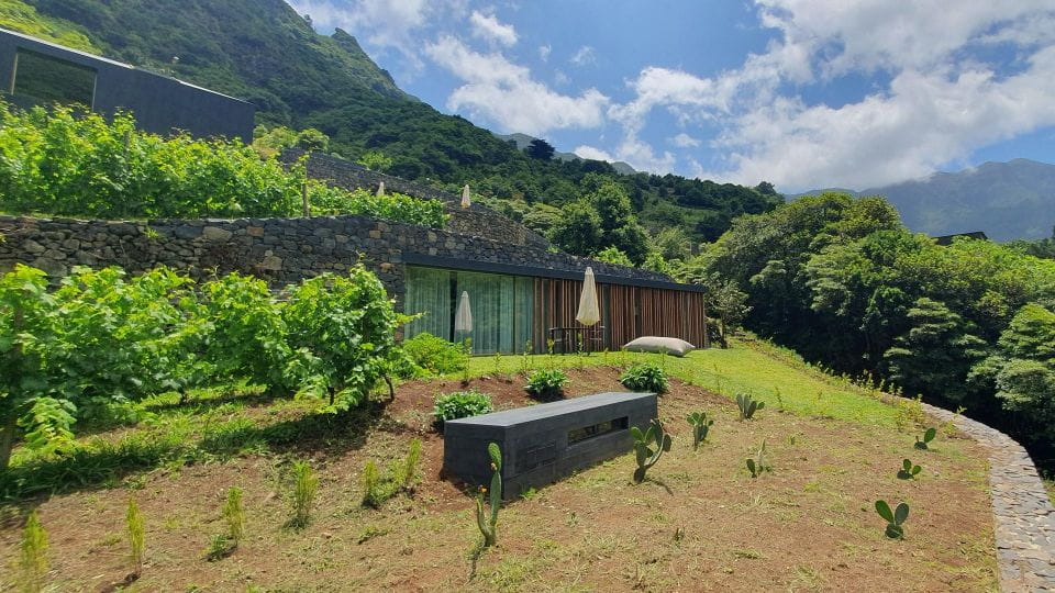 Exclusive Wine Tasting Tour in the Wine Region of Boaventura - Explore the Property