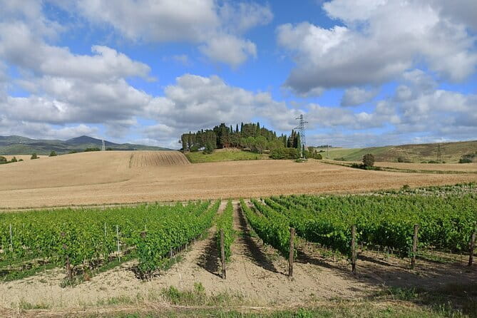 EXCLUSIVE Wine Tour in Chianti & San Gimignano (Lunch & Wine Tasting included) - Practical Tips for the Tour