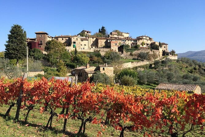 EXCLUSIVE Wine Tour in Chianti & San Gimignano (Lunch & Wine Tasting included) - FAQ