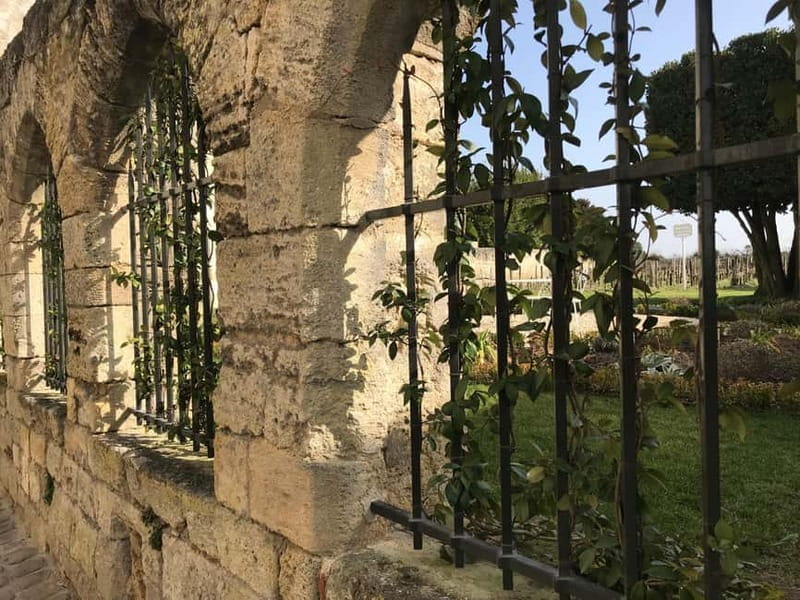 Exclusive Wine Tour of the St-Émilion Chateaux with tastings - Saint-Émilion Village: Stepping Back in Time
