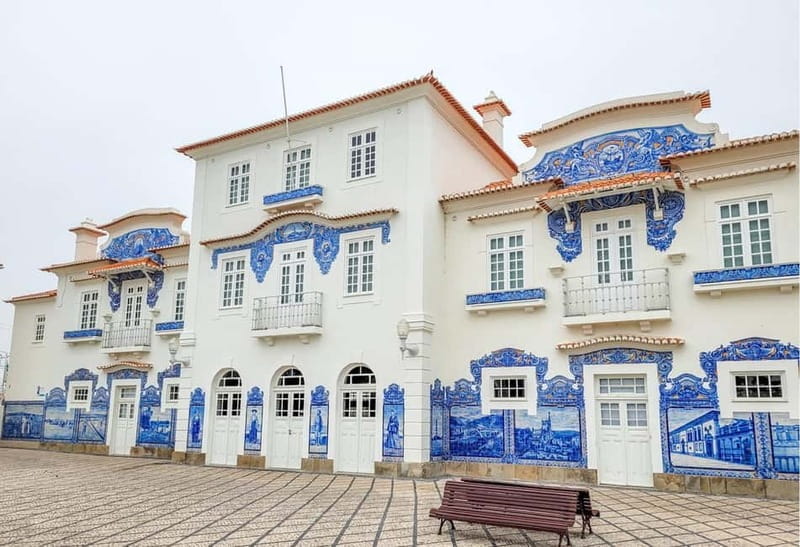 Excursion à Aveiro Venise du Portugal+Balade en Moliceiro. - Practical Tips for Making the Most of Your Day