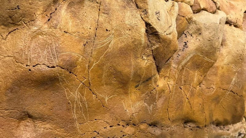 Excursion through Cantabria: Santander | Santillana del Mar | Comillas - Practicalities: How the Day Unfolds