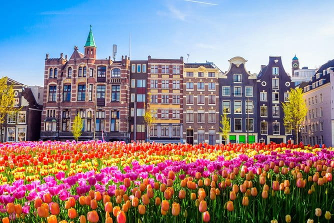 Excursion to Amsterdam by bus from Brussels - Who Would Love This Tour?