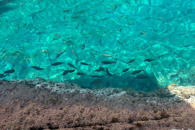Excursion to Cala Salada, Punta Galera and Cala Saladeta paddle surf - Exploring Ibiza’s Coastal Gems on Paddleboard
