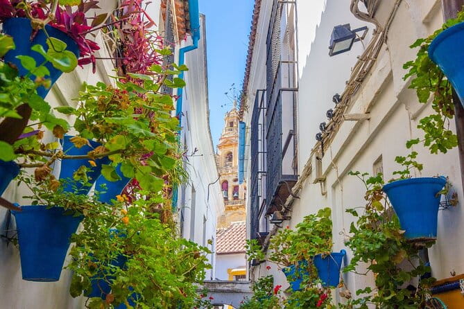 Excursion to Córdoba from Malaga - A Thoughtful Look at the Córdoba Day Trip from Málaga