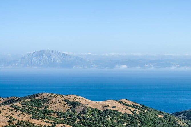 Excursion to Gibraltar with Rock Tour From Malaga - Entering Gibraltar and the Natural Highlights