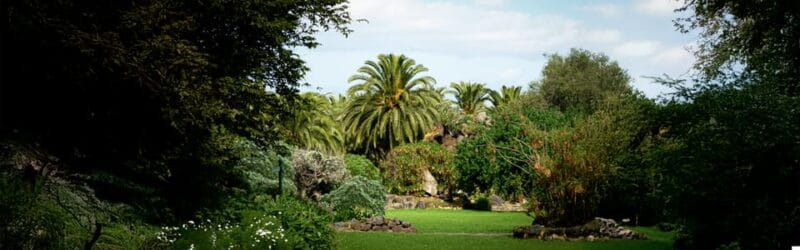 Excursion to Las Palmas: History and Culture - Key Points / Takeaways