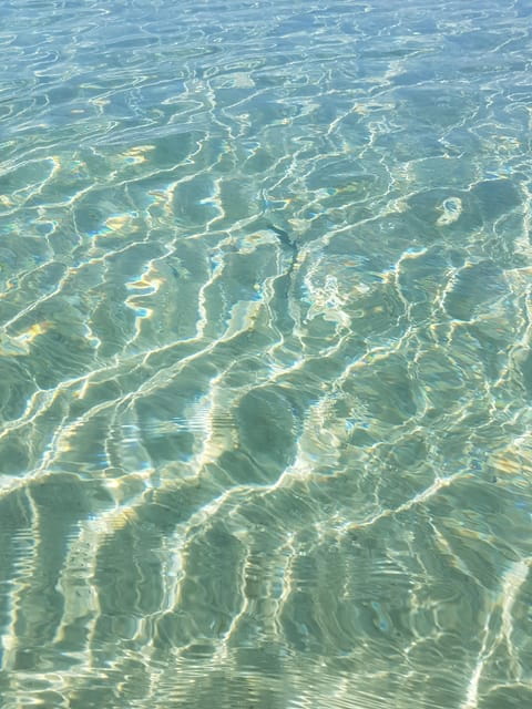 Excursion to Porquerolles Island from Bandol - Key Points / Takeaways