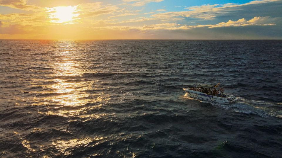 Excursion to See the Whales 2 Hours - Pricing and Payment Details