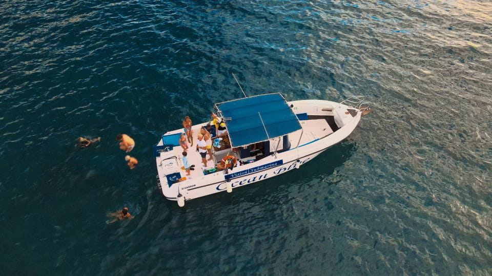 Excursion to See the Whales 2 Hours - Accessibility Features