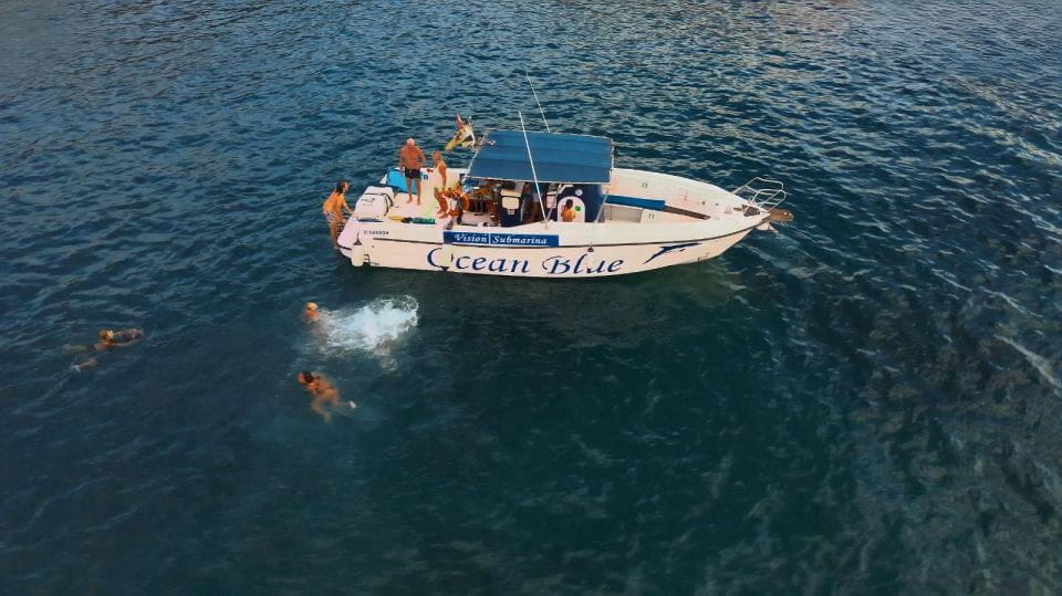 Excursion to See the Whales - 3 Hours - Key Points